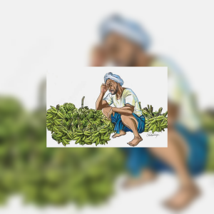 kerala farmer heat loss 1200x1200